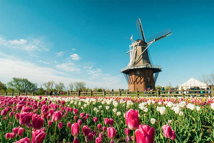 HollandTulipFestival750.jpg