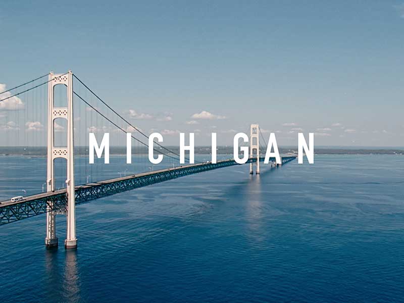 Team Michigan is Here to Help